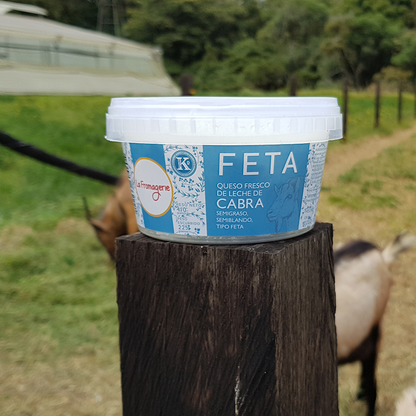 Queso tipo feta de cabra en salmuera