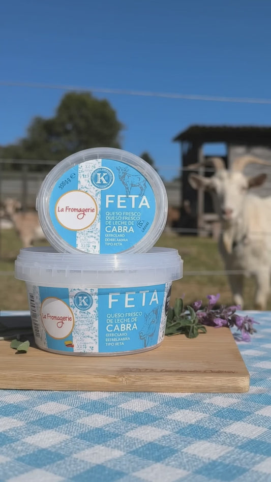 Queso tipo feta de cabra en salmuera